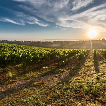 Il Palco Montepulciano, Vista Incredibile, 150Mt Da Piazza Grande Appartamento Esterno foto